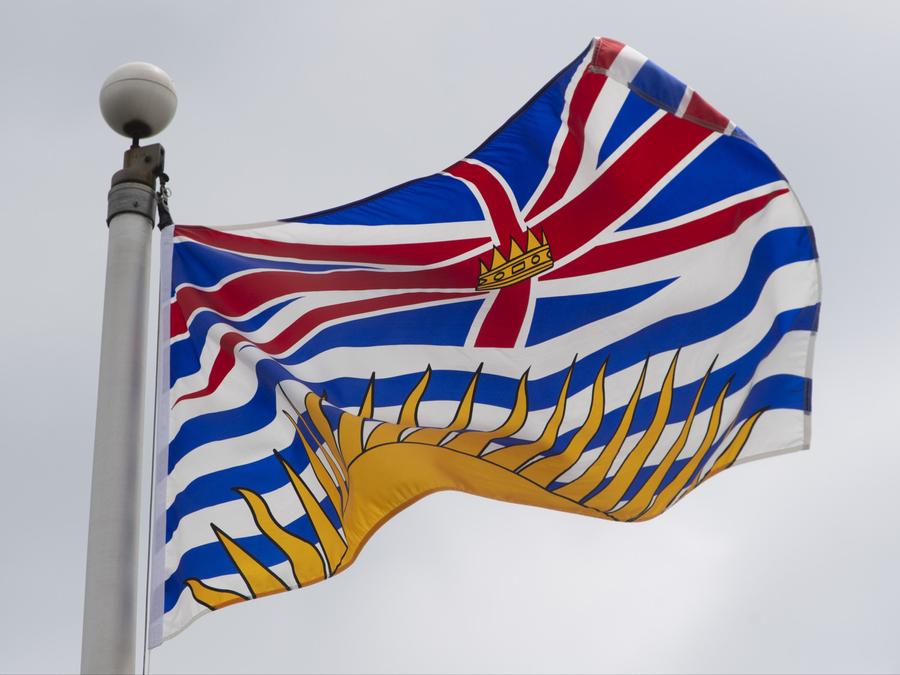 British Columbia's provincial flag flies in Ottawa, July 3, 2020. Adrian Wyld/The Canadian Press